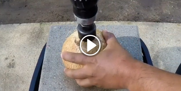 Hindistan cevizine bakın ne yaptılar!