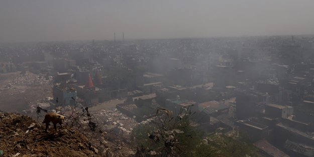 Hindistan Dünya Çevre Günü'nü böyle karşıladı! Bölgeden dumanlar yükseldi