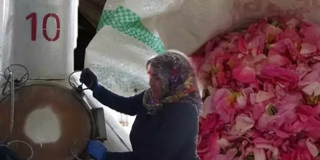 Hindistan ve birçok ülkeye dev sipariş! Türkiye'ye talep var! Bu kez Türkiye'nin gülü gündem oldu