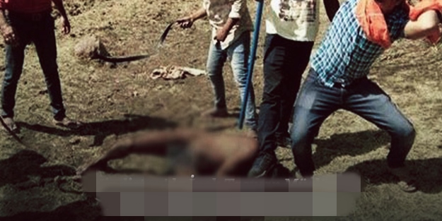 Hindistan'da bir müslüman inek yüzünden şehit edildi