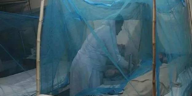 Hindistan'da dang humması alarmı: 50 ölü