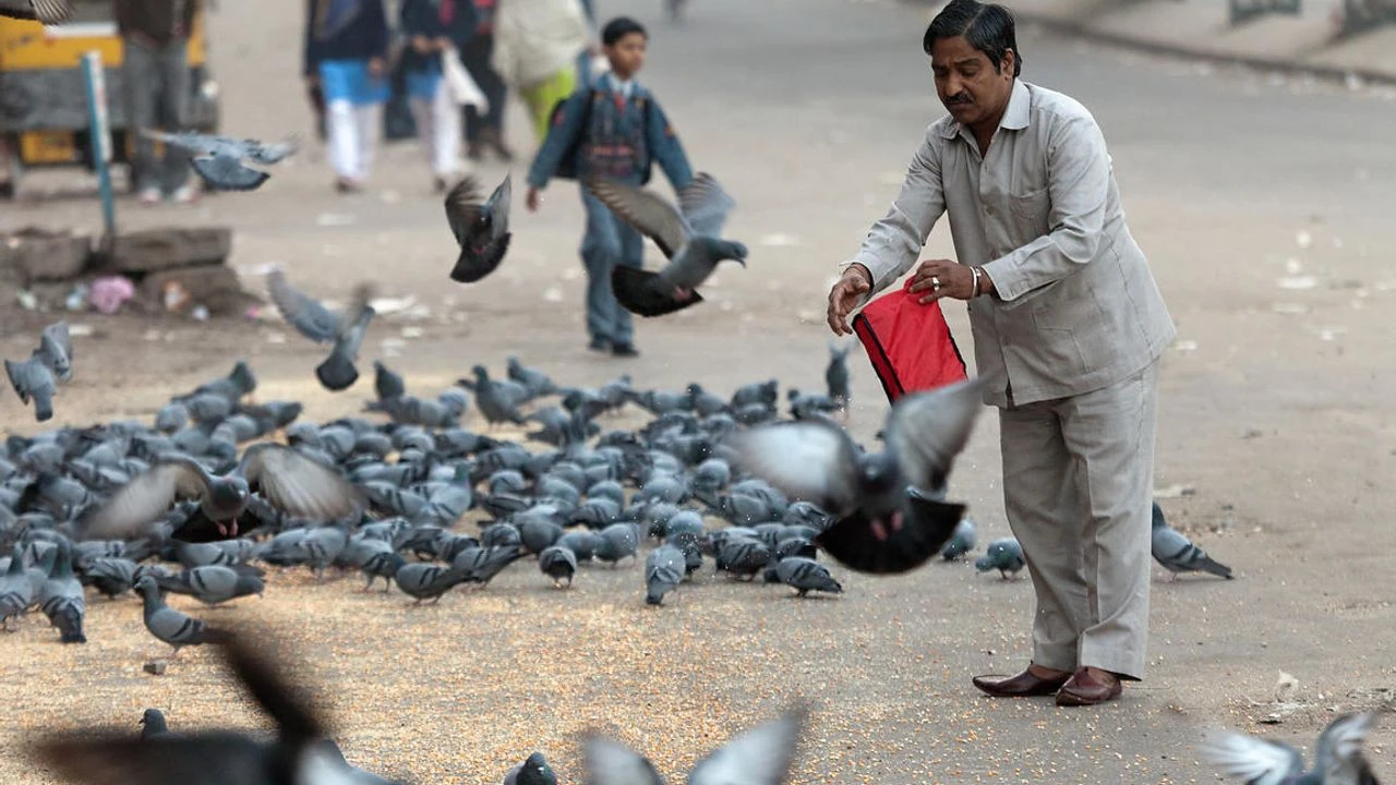 Hindistan'da sıra dışı yasak!