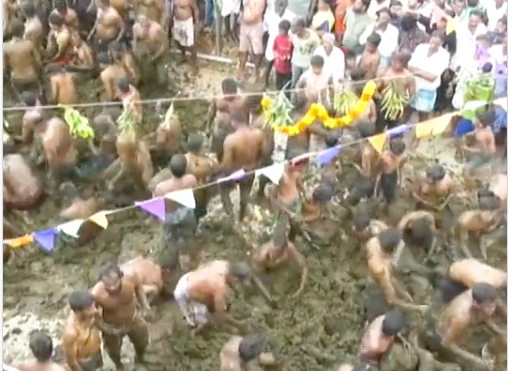 Hindular inek gübresinin içinde 