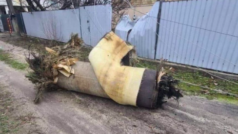 Sır perdesi aydınlandı! İşte Hipersonik Zirkon füzesinin gerçek hızı