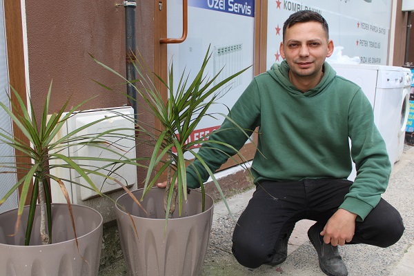 Hırsız çaldığı bitkiyi geri getirdi!