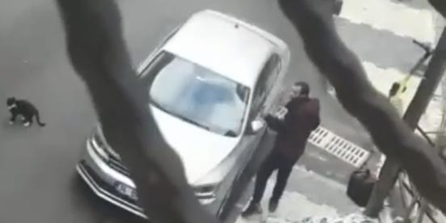 Hırsızdan şaşkına çeviren sözler: Bir parça alacağım zehir ettiniz