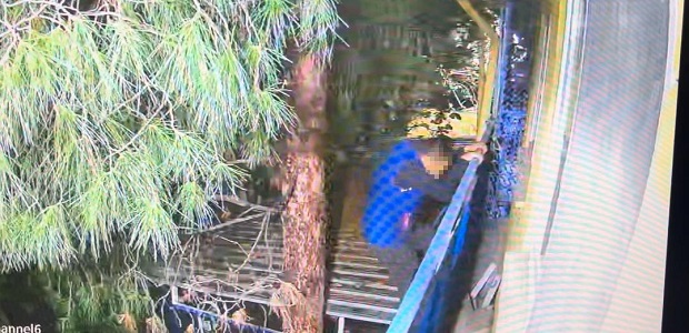 Hırsızlar 'Örümcek Adam'a özendi!