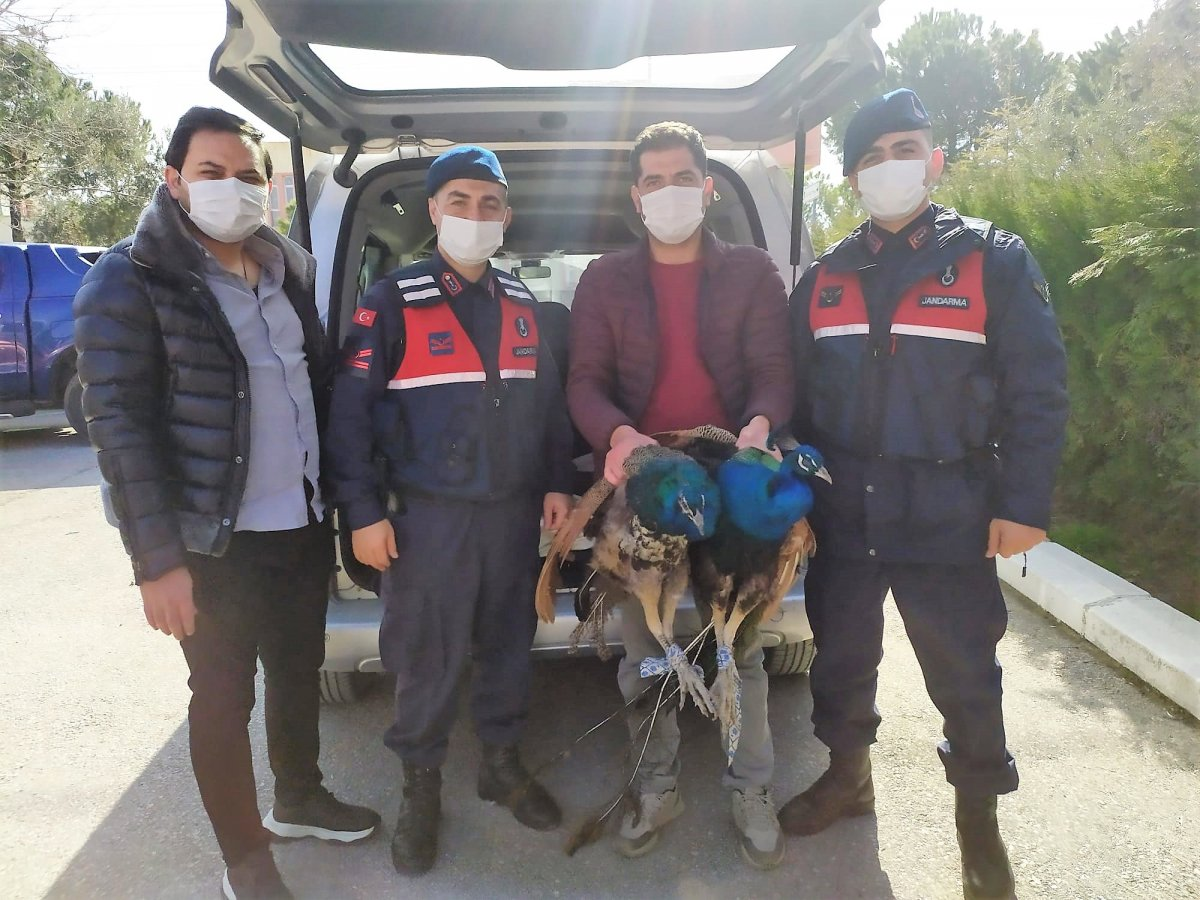 Hırsızlık çetesinde 