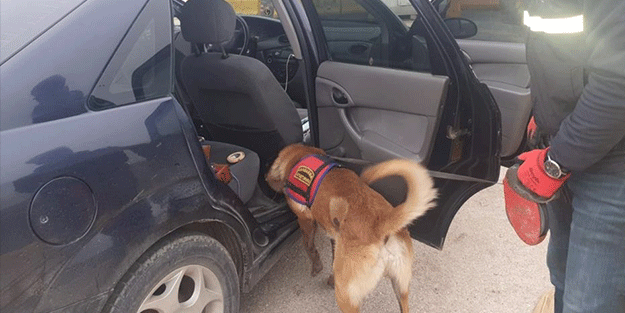Hırsızlıktan aranıyordu, uyuşturucuyla yakalandı