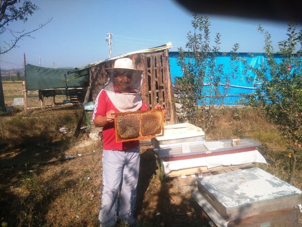 Hisarcıklı bal üreticileri yüksek rekolte bekliyor 