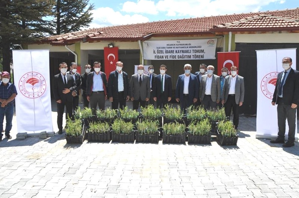 Hisarcık’ta çiftçilere 6 bin 475 Goji Berry fidanı dağıtıldı 