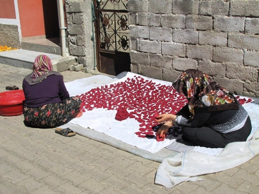 Hisarcık’ta kızılcık meyvesinden ’doktor çorbası’ 