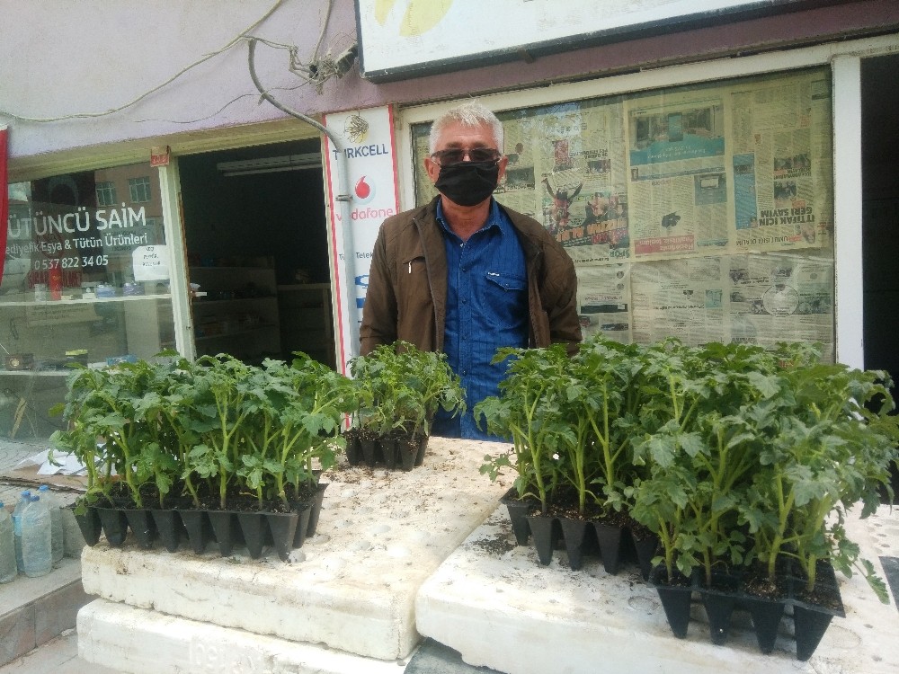 Hisarcık’ta zirai don sebze fidesi satışlarını arttırdı 