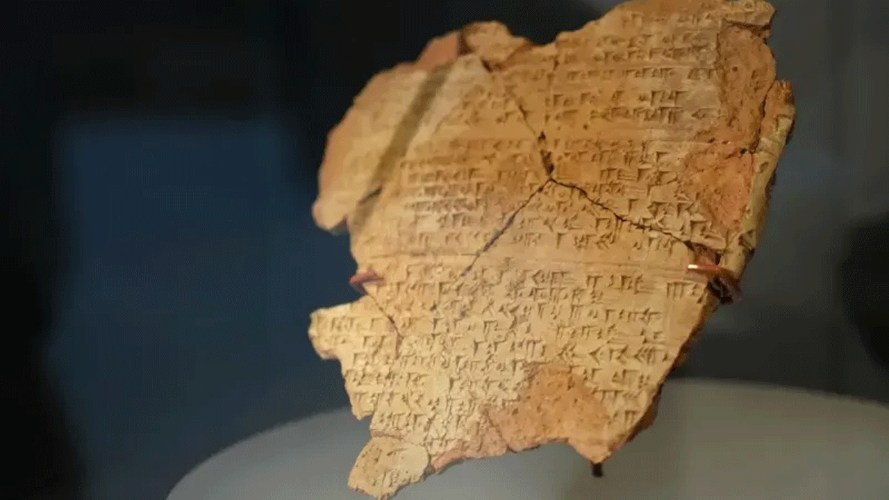 Hititlerin kutsal kentinde 3 bin 500 yıllık fındık fosili bulundu