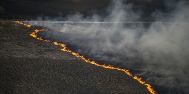 Hızla ilerliyor! Çernobil geri döndü