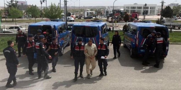 Hızlı tren fareleri enselendi