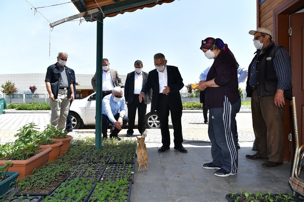 Hobi bahçeleri kriterlere uyulması şartıyla açılacak 