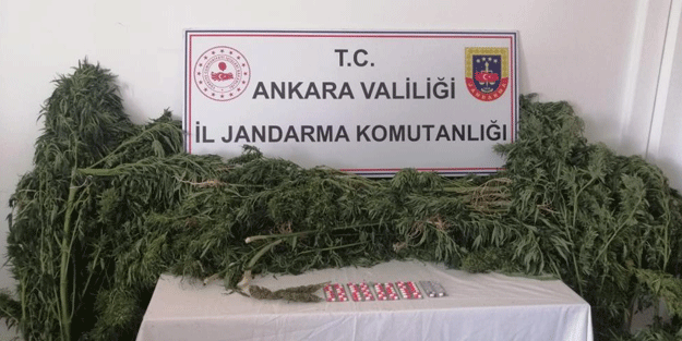 Hobi bahçesine uyuşturucu operasyonu