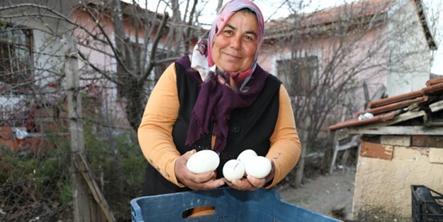 Hobi olarak başladı bir yılda çiftlik sahibi oldu