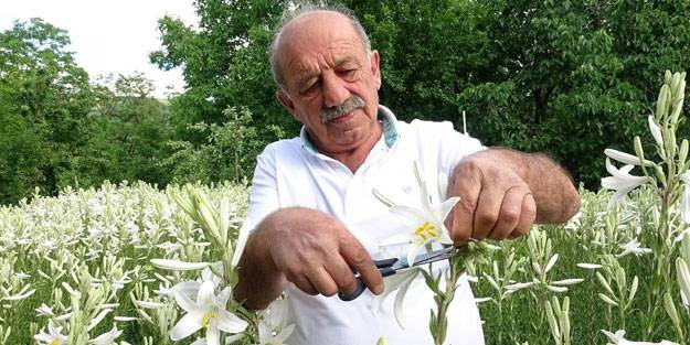 Hobi olarak başladı hayatını değiştirdi