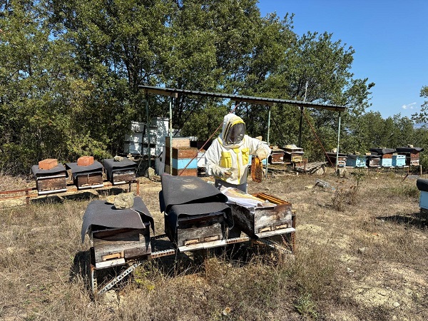 Hobi olarak başladı kilosunu 400 TL'ye satıyor