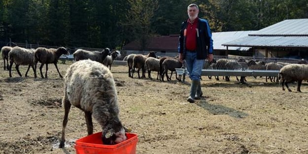 Hobi olarak başladı, şimdi Türkiye'nin dört bir yanına satıyor
