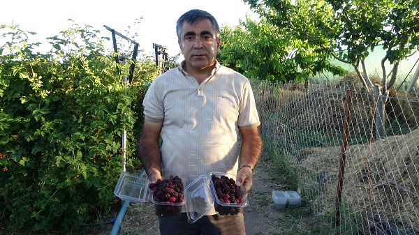 Hobi olarak başladı taleplere yetişemez oldu