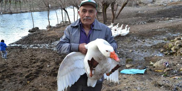 Hobi olarak başladığı iş, şimdi gelir kapısı oldu