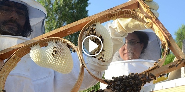 Hobi olarak başlamışlardı, gelir kapısı oldu