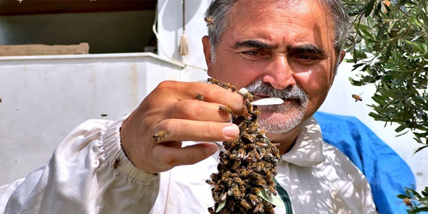 Hobiden ticarete: Sadece 2 kovan ile başlamıştı, şimdi 400 kovanı hasat ediyor!