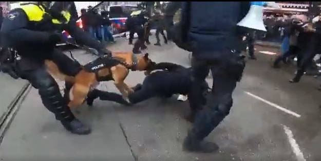 Ama onlar demokrat değil mi? Döverler de severler de! Hollanda da göstericilere köpekli müdahale