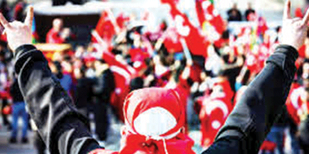 Hollanda da ülkücü hareketi yasaklıyor