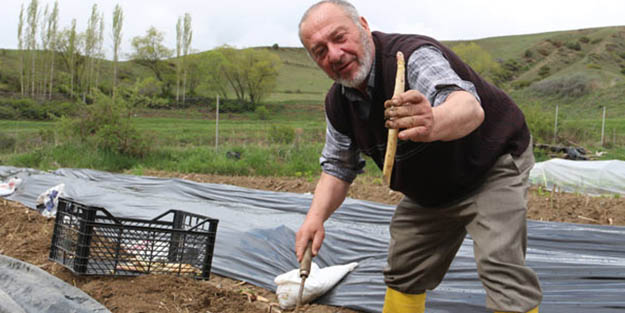 Hollanda'da öğrendi 43 yıl sonra Türkiye'de yetiştirmeye başladı!