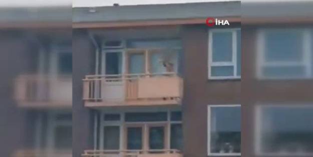 Hollanda’da oklu saldırı dehşeti