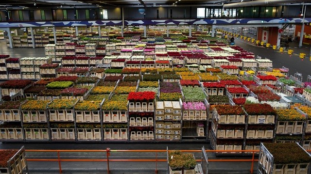 Hollandalı dev şirketten milyonlarca liralık teklif