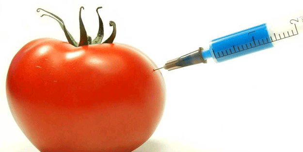 Hormonlu sebze meyveler işte böyle anlaşılıyor Aman dikkat!