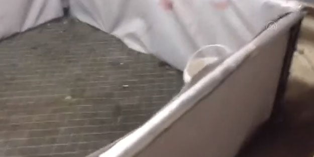 Horoz dövüştüren 21 kişi yakalandı
