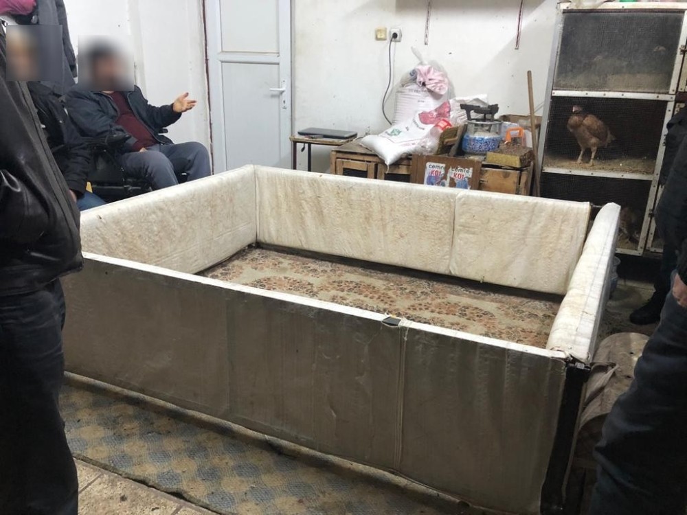 Horoz dövüştüren şahıslara ceza 