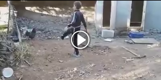 Horoza kafa tutan çocuğun sonu