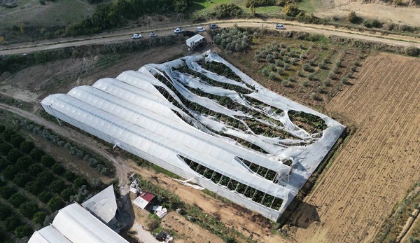 Hortum muz seralarına zarar verdi!