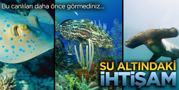 Su altındaki ihtişam