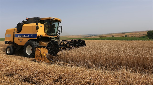 Hububat alım fiyatları Pazartesi belirlenecek