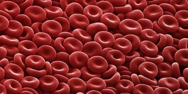 Hücre kirliliği zayıflamaya engel oluyor