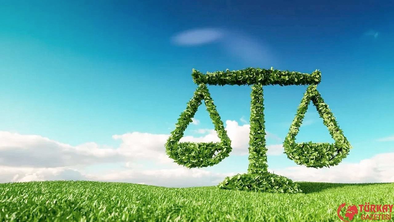 Hukukçu Hacı Ali Özhan, Meclis meclis olalı böyle laf salatası görmedi diyerek isyan etti