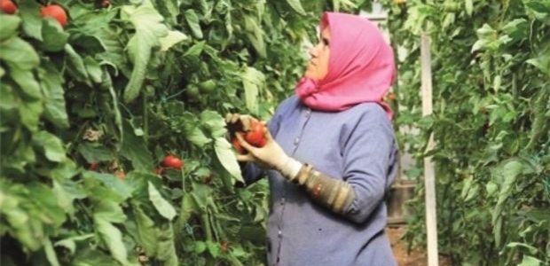 Hükümetin bahar müjdeleri