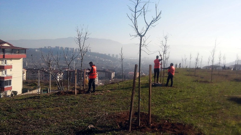 Hükümlüler fidan dikerek doğaya katkı sağlıyor 