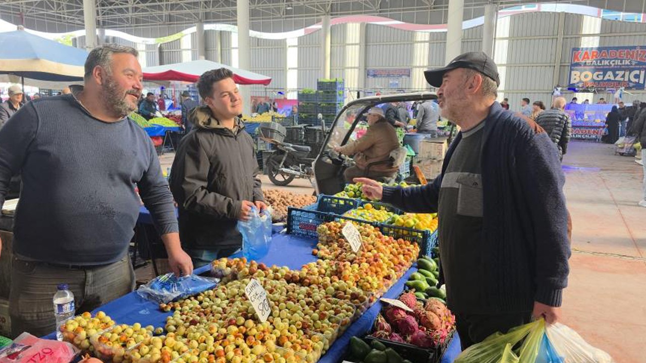 Hünnap, 300 yıllık bereketi taşıyor sanılıyordu! 620 yaşında çıktı! İşte o meyve