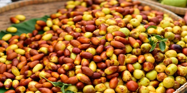 Hünnap nasıl tüketilir?