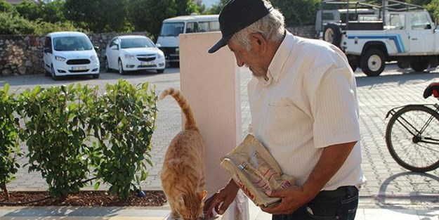 Hurda parasıyla sokak kedilerini besliyor