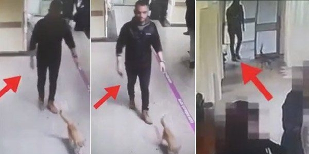 Hürriyet yalan haberde çığır açtı! Acil servise kedi sokup...